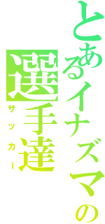 とあるイナズマの選手達（サッカー）