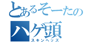 とあるそーたのハゲ頭（スキンヘッズ）