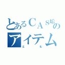 とあるＣＡＳ垢のアイテム用（とも）