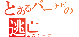 とあるバーナビーの逃亡（エスケープ）