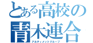 とある高校の青木連合（アルティメットグループ）