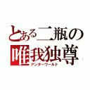 とある二瓶の唯我独尊（アンダーワールド）