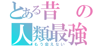 とある昔の人類最強（もう会えない）