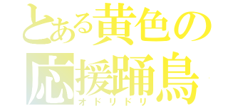 とある黄色の応援踊鳥（オドリドリ）