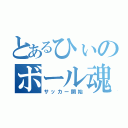 とあるひぃのボール魂（サッカー開始）