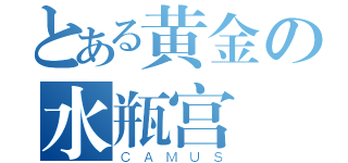 とある黄金の水瓶宫（ＣＡＭＵＳ）