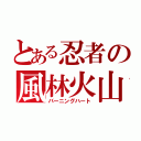 とある忍者の風林火山（バーニングハート）