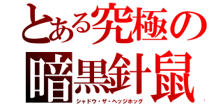 とある究極の暗黒針鼠（シャドウ・ザ・ヘッジホッグ）