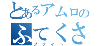 とあるアムロのふてくされ（ブライト）