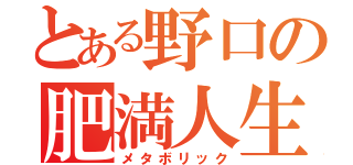 とある野口の肥満人生（メタボリック）