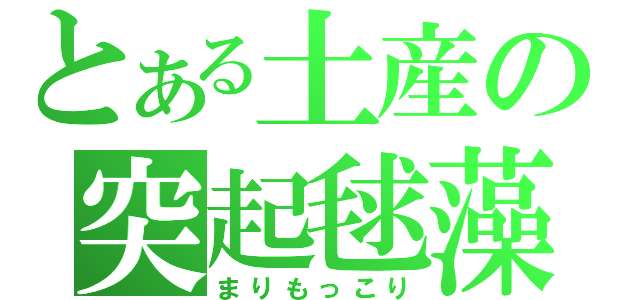 とある土産の突起毬藻（まりもっこり）