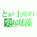 とある土産の突起毬藻（まりもっこり）