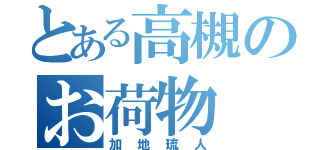 とある高槻のお荷物（加地琉人）