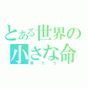 とある世界の小さな命（僕たち）