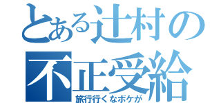 とある辻村の不正受給（旅行行くなボケが）