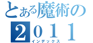 とある魔術の２０１１（インデックス）