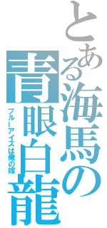 とある海馬の青眼白龍（ブルーアイズは俺の嫁）