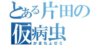 とある片田の仮病虫（かまちょゼミ）