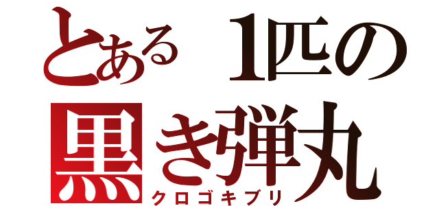 とある１匹の黒き弾丸（クロゴキブリ）