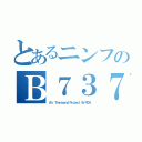 とあるニンフのＢ７３７（Ａｉｒ Ｔｒａｎｓｃｅｎｄ Ｐｒｏｊｅｃｔ ９Ｖ－ＴＤＮ）