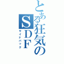 とある狂気のＳＤＦ（サイドバック）