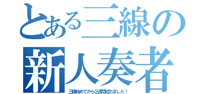 とある三線の新人奏者（三線始めてから２週間経ちました！）