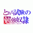 とある試験の勉強奴隷（スタディースレイブ）