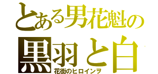 とある男花魁の黒羽と白金（花街のヒロインヲ）