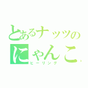 とあるナッツのにゃんこ放送（ヒーリング）