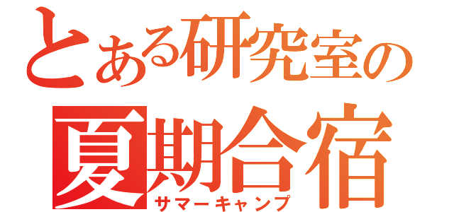 とある研究室の夏期合宿（サマーキャンプ）