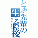 とある先輩の生え際後退（ハゲまっしぐら）