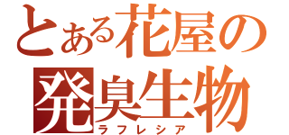 とある花屋の発臭生物（ラフレシア）