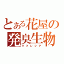 とある花屋の発臭生物（ラフレシア）