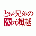 とある兄弟の次元超越（トリップ）