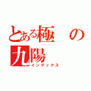 とある極の九陽（インデックス）