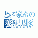 とある家畜の養殖黒豚（山岡拓海）