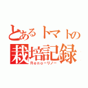 とあるトマトの栽培記録（Ｒｅｎｏ－リノ－）