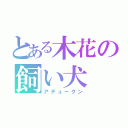 とある木花の飼い犬（アデュークン）