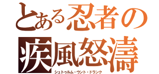 とある忍者の疾風怒濤（シュトゥルム・ウント・ドランク）