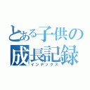 とある子供の成長記録（インデックス）