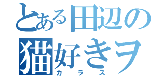 とある田辺の猫好きヲタ娘（カラス）