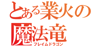 とある業火の魔法竜（フレイムドラゴン）