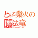 とある業火の魔法竜（フレイムドラゴン）