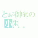 とある帥氣の小朱（呆 呆 樞）