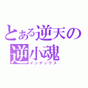 とある逆天の逆小魂（インデックス）