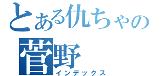 とある仇ちゃの菅野（インデックス）