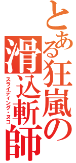 とある狂嵐の滑込斬師（スライディング・ヌコ）