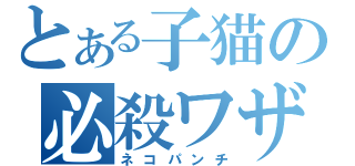 とある子猫の必殺ワザ（ネコパンチ）