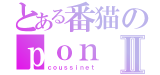 とある番猫のｐｏｎⅡ（ｃｏｕｓｓｉｎｅｔ）