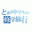 とある中学生の修学旅行記（）